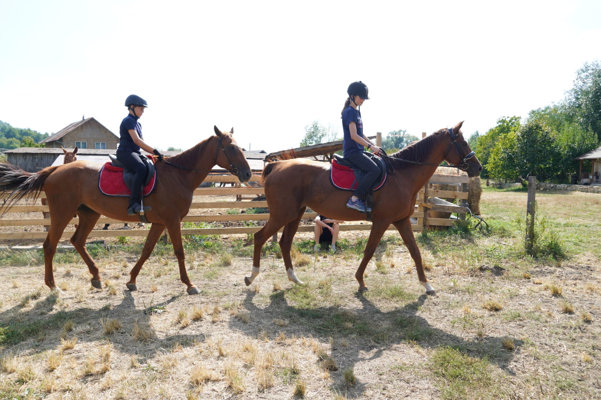Tabăra de Echitație 9-14 august - Image 2