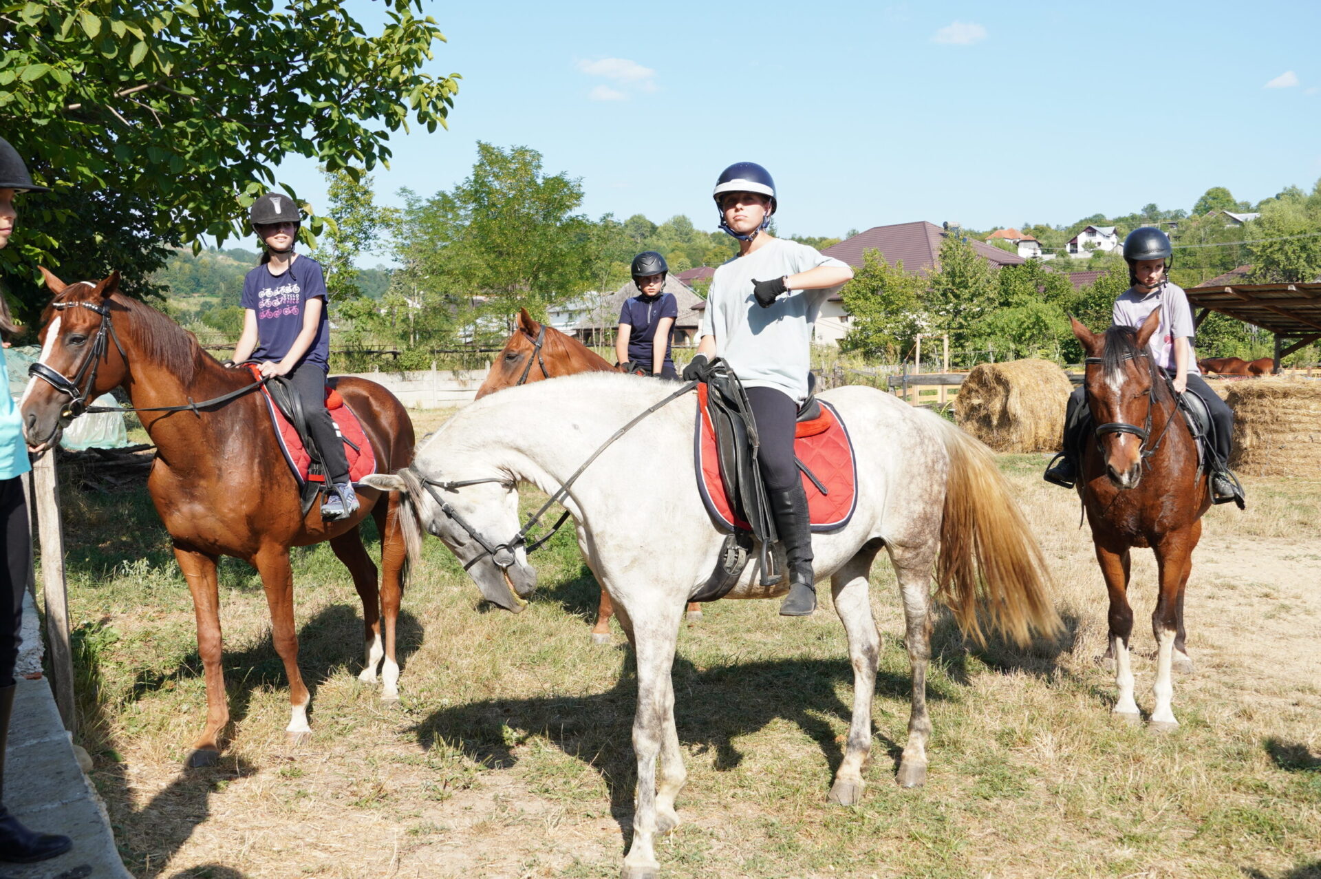 Tabăra de Echitație 9-14 august - Image 7