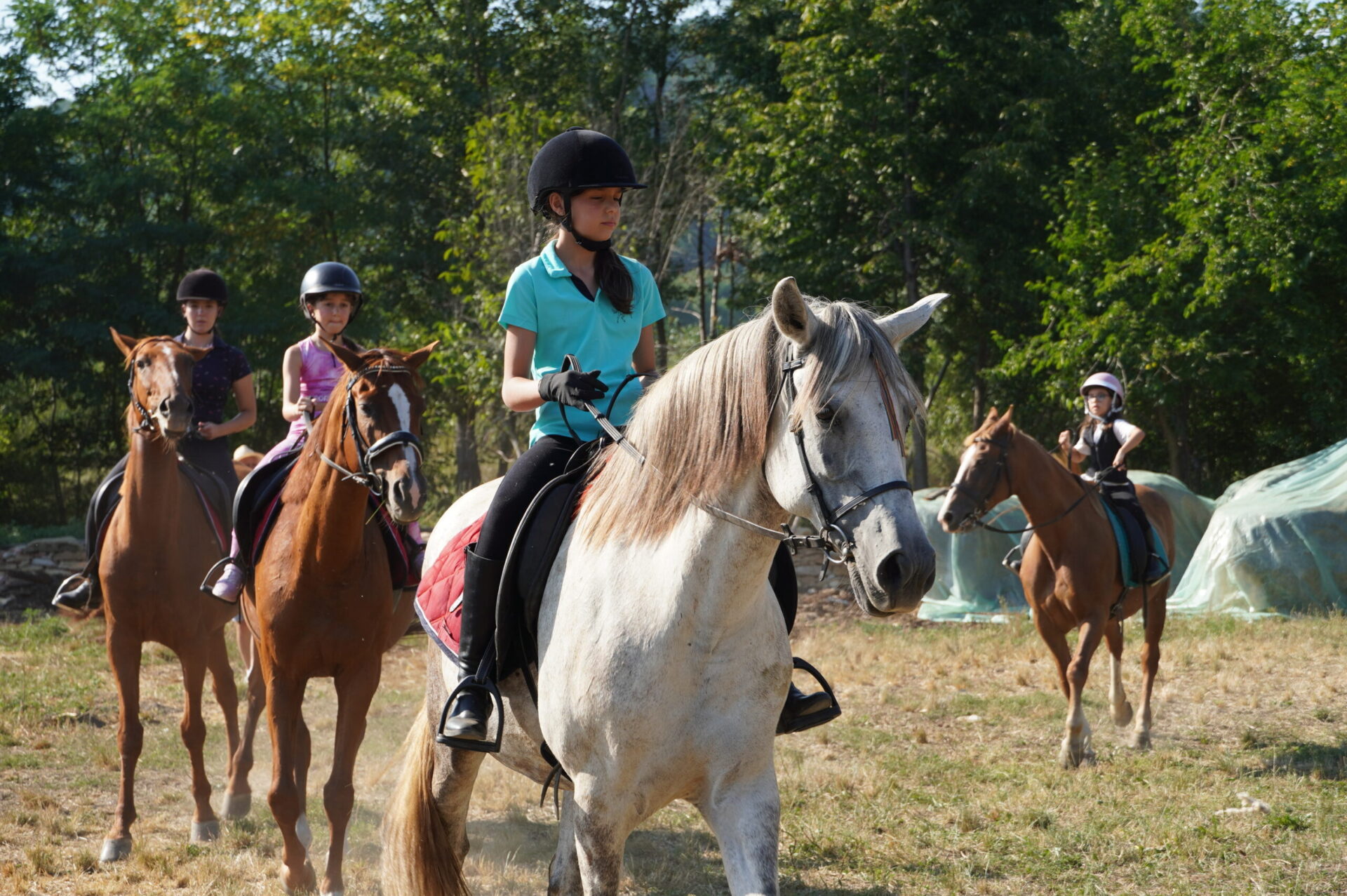 Tabăra de Echitație 9-14 august - Image 9