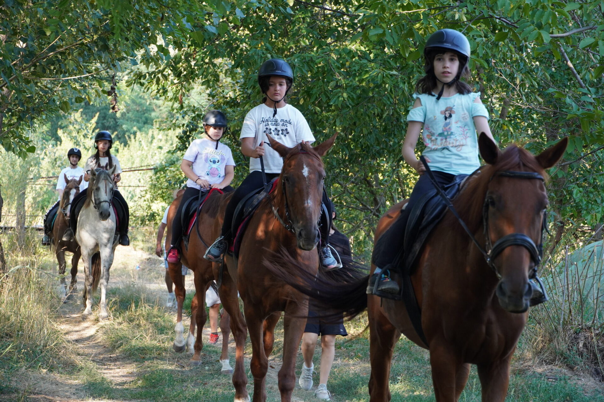 Tabăra de Echitație 9-14 august - Image 10